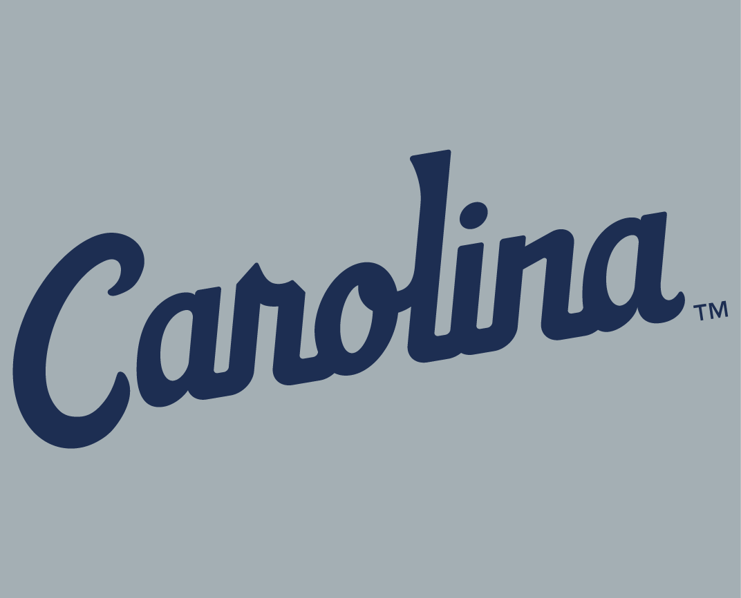 North Carolina Tar Heels 2015-Pres Wordmark Logo t shirts iron on transfers v8